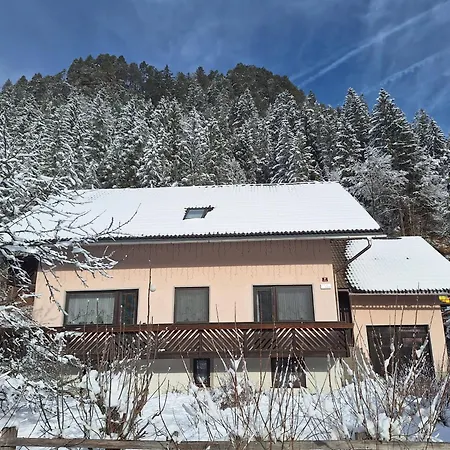 Διαμέρισμα Mertelj *