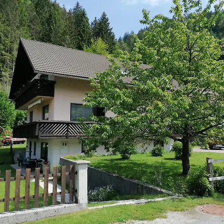 Mertelj Kranjska Gora