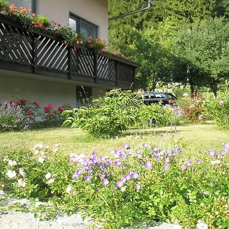 Διαμέρισμα Mertelj