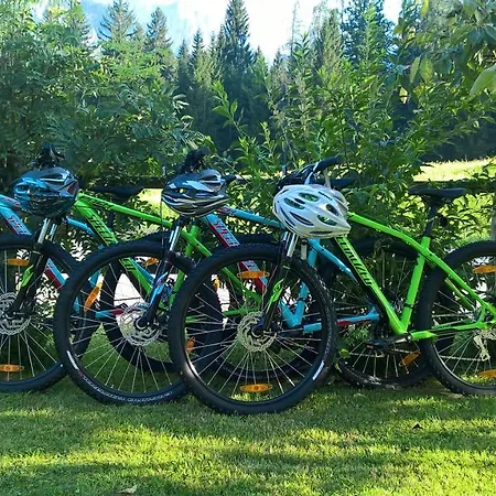 Mertelj Apartamento Kranjska Gora