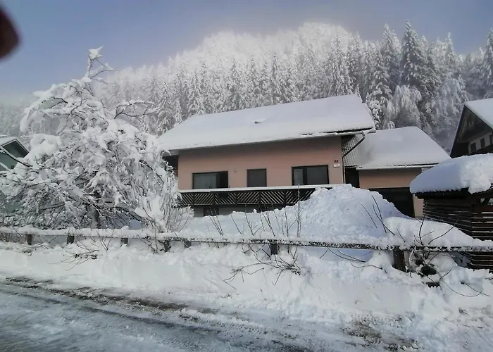 Mertelj Appartement *