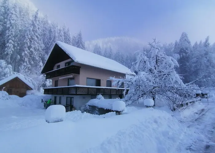 Mertelj * كْرانْيِسكا غورا