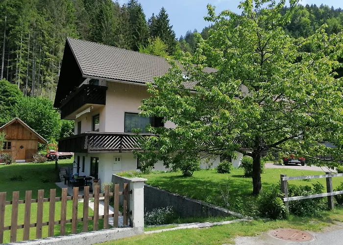 Mertelj Kranjska Gora