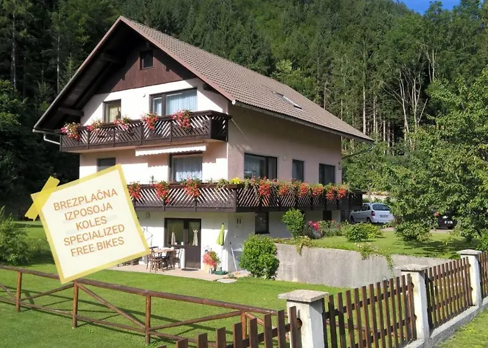 Appartement Mertelj *